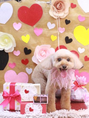 20230228うたちゃん